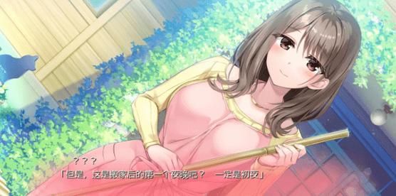 妻子的生活V1.0汉化版最新内容详细介绍
