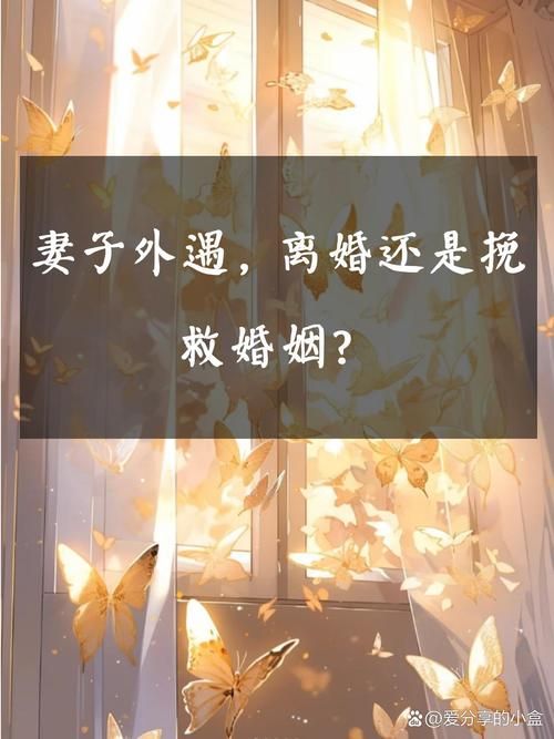 妻子的电话最新版本是多少 常见问题解答大全