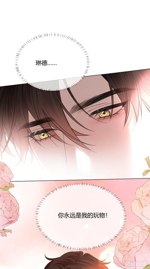 妻管严官方正式版下载最新版 一键获取轻松安装