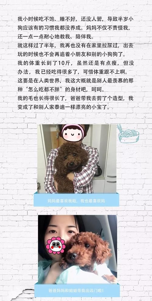 姐姐别追我官方网站游戏攻略大全最新版