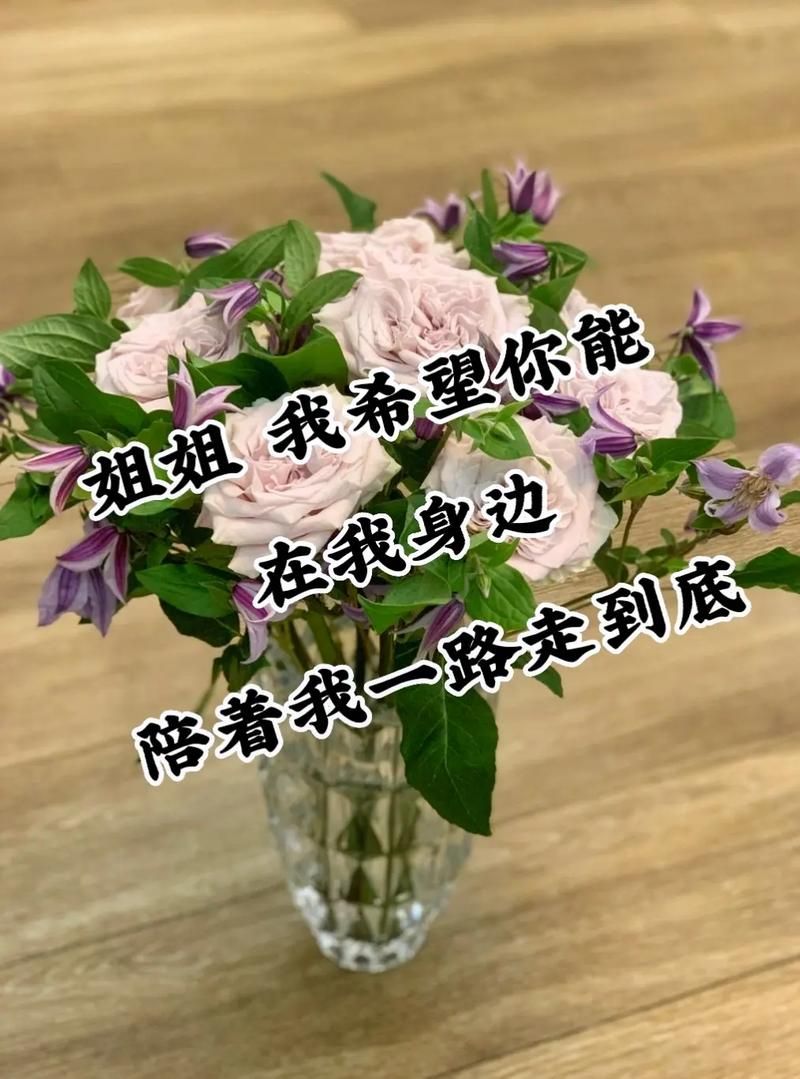 姐姐别追我更新地址变了快来收藏新链接