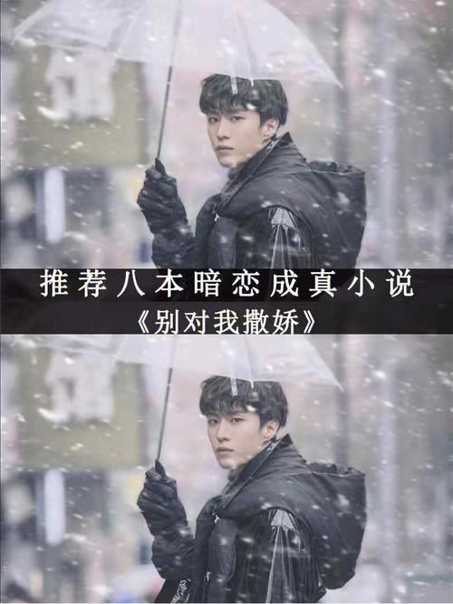 姐姐别追我游戏下载 完整安装步骤图文解析