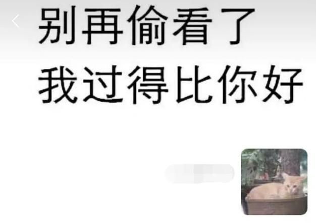 姐姐别追我版本大全最新合集一次看个够