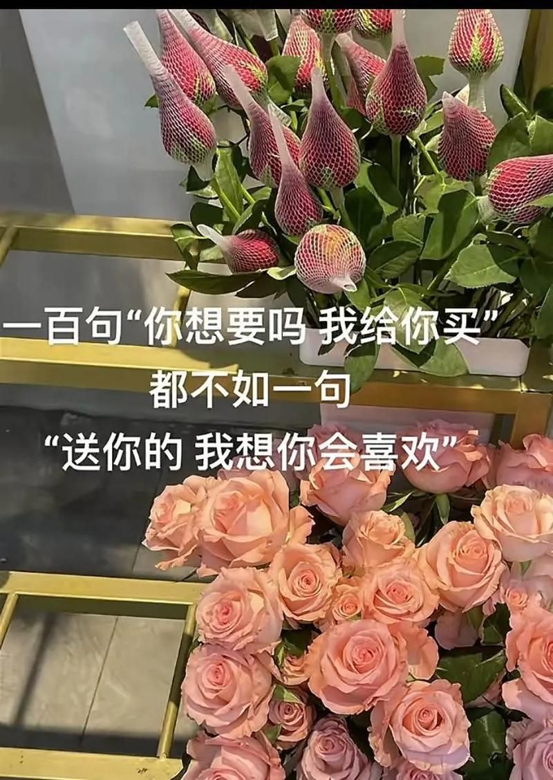 姐姐别追我版本大全最新合集一次看个够