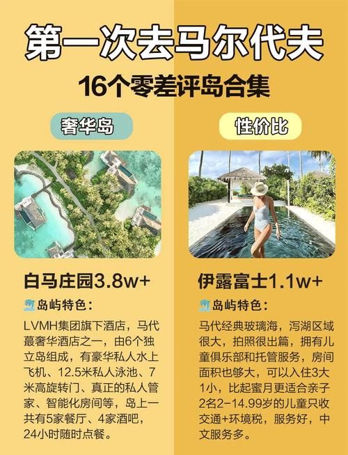 姬之岛游戏攻略秘籍 轻松过关与高分技巧解析