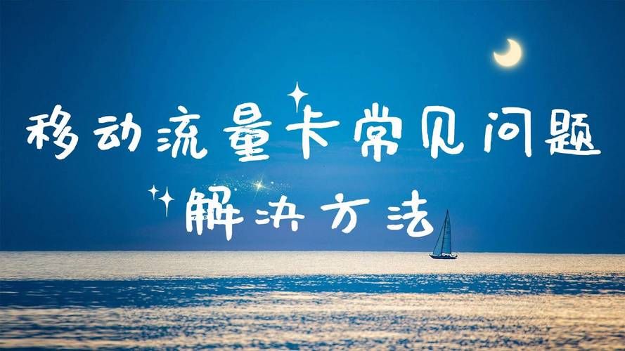 威利大冒险绅士游戏常见问题解决方法大全