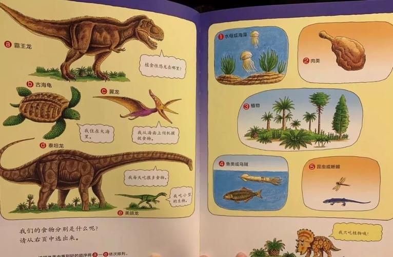 威利大冒险续集最新上映时间终于确定