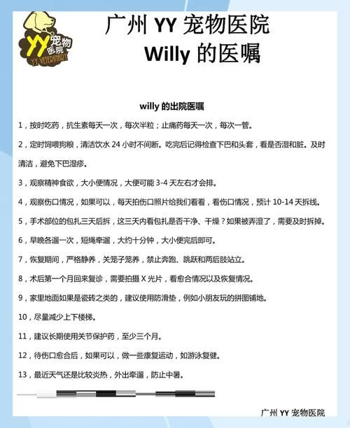 威利大冒险续集最新版本下载安装教程分享
