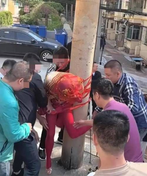 婚闹在哪下载安全 官方正版婚闹下载渠道推荐