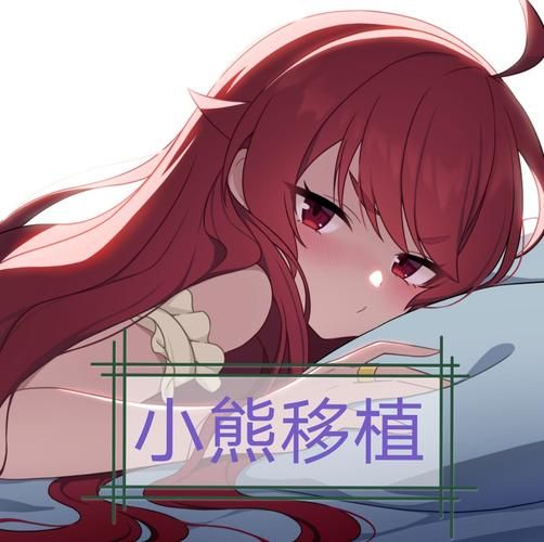 婚闹官方正式版最新版 免费下载安装教程