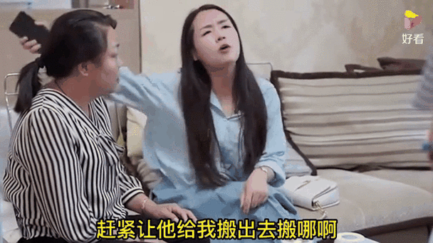 嫂子与小侄子下载指南 快速解决下载问题