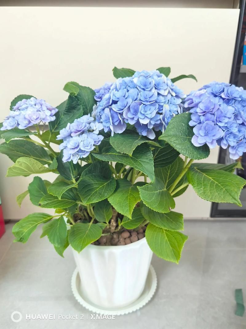 嫂子与小侄子搬新家了最新地址已经更新完毕