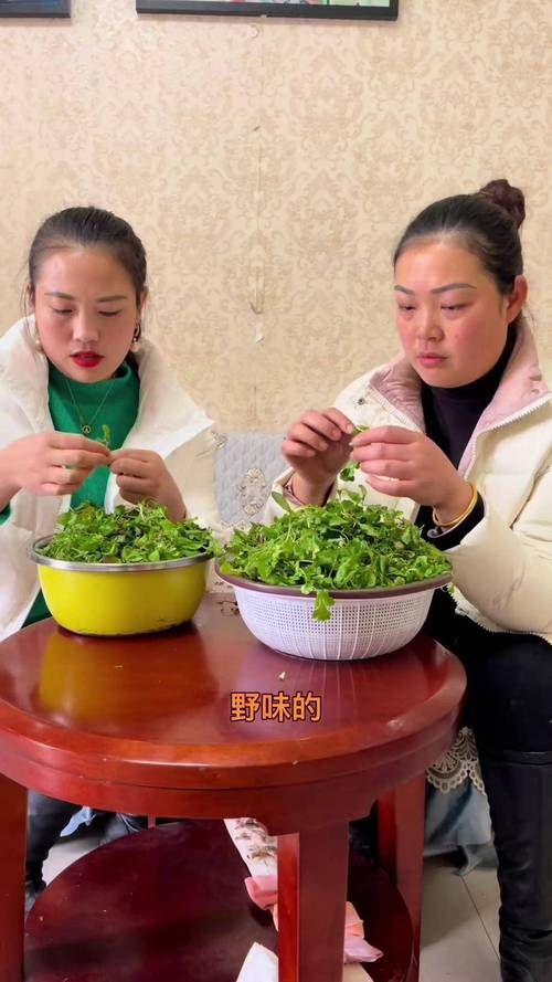 嫂子与小侄子最新相处模式 家庭温暖瞬间大公开