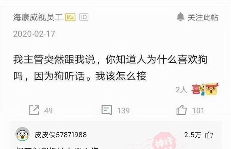 嫂子与小侄子游戏攻略教程 简单易学超实用