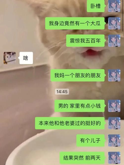嫂子秘事游戏下载中文版 最新资源高速获取