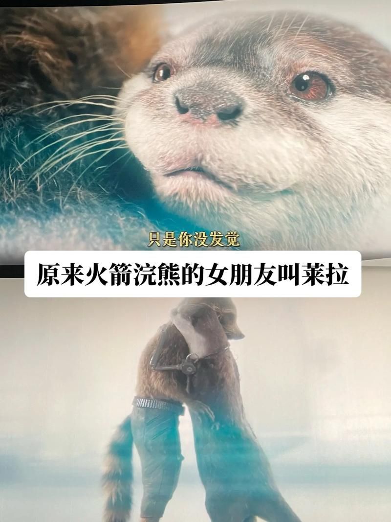 嫂子秘事游戏介绍 探索游戏中的隐藏任务和彩蛋
