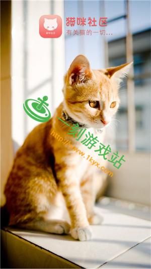 孝顺的妻子游戏安卓版 下载安装步骤详解分享