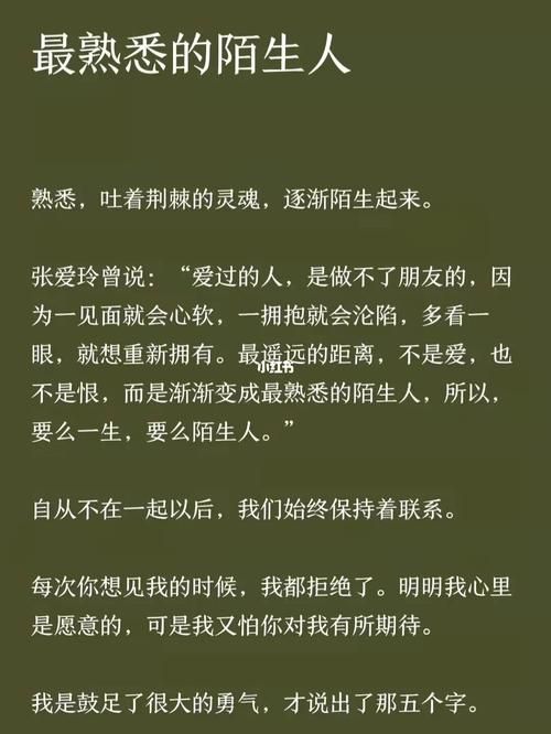孤独的陌生人官方正式版下载最新版安全无广告