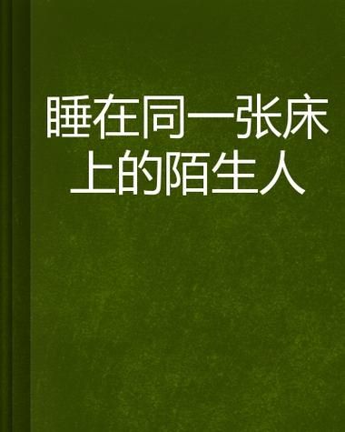孤独的陌生人官方正式版下载最新版安全无广告