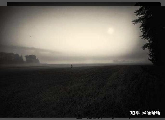 孤独的陌生人官方正式版下载最新版安全无广告