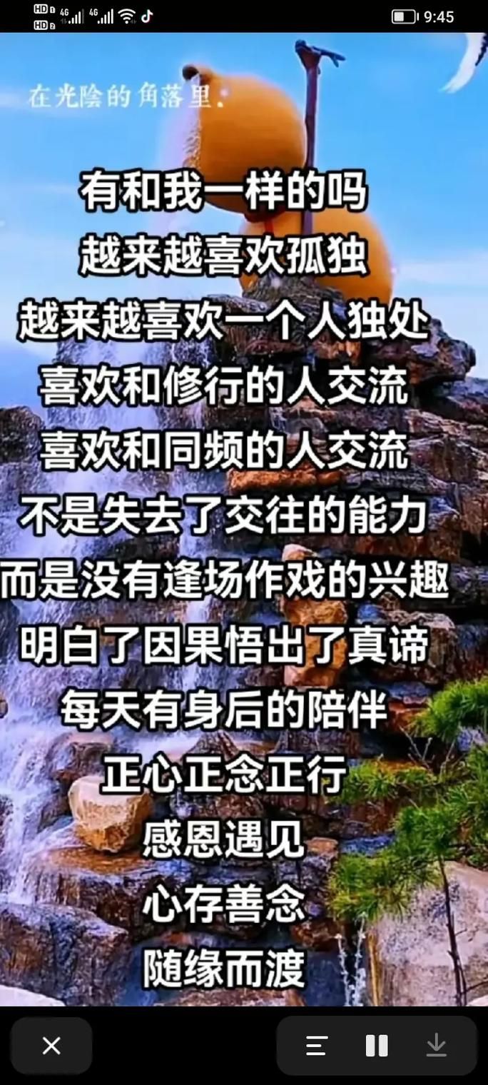 孤独的陌生人最新版本是多少 现在更新到几了