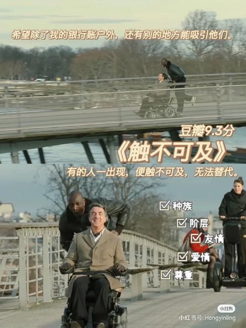孤独的陌生人最新观后感 这部剧为何引发观众共鸣
