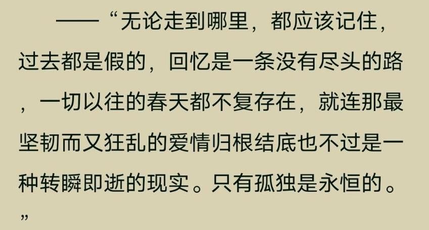 孤独的陌生人汉化版下载 完整剧情中文体验指南