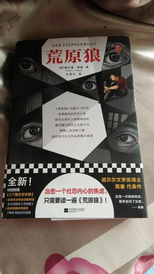 孤独的陌生人汉化版下载 完整剧情中文体验指南