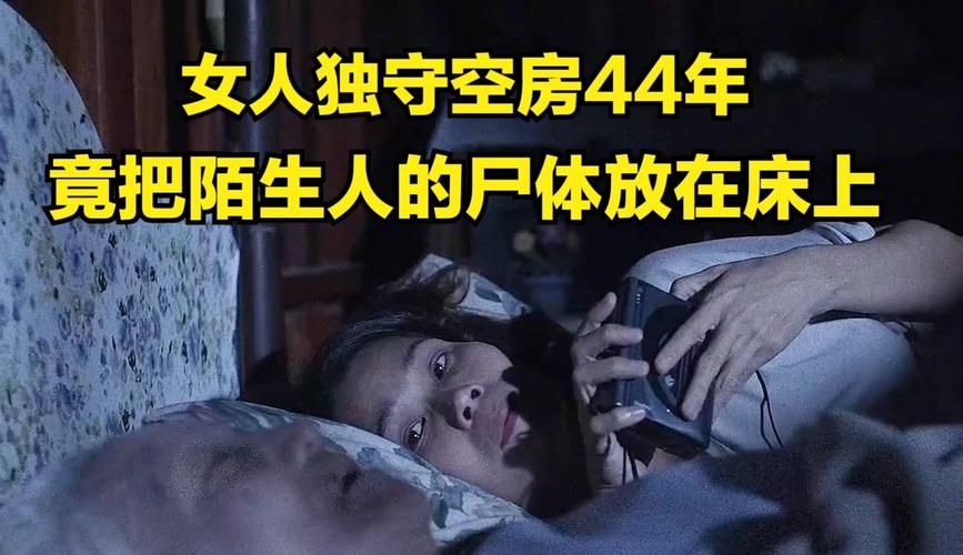 孤独的陌生人汉化版下载 完整剧情中文体验指南