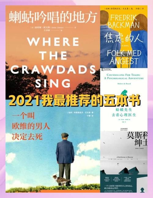 孤独的陌生人游戏官网攻略大全新手必看指南