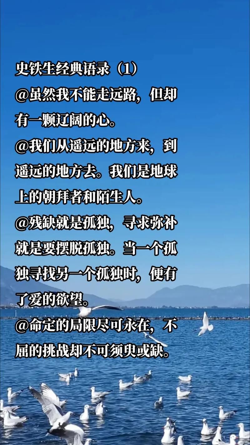 孤独的陌生人版本大全 最新最全版本都在这里了