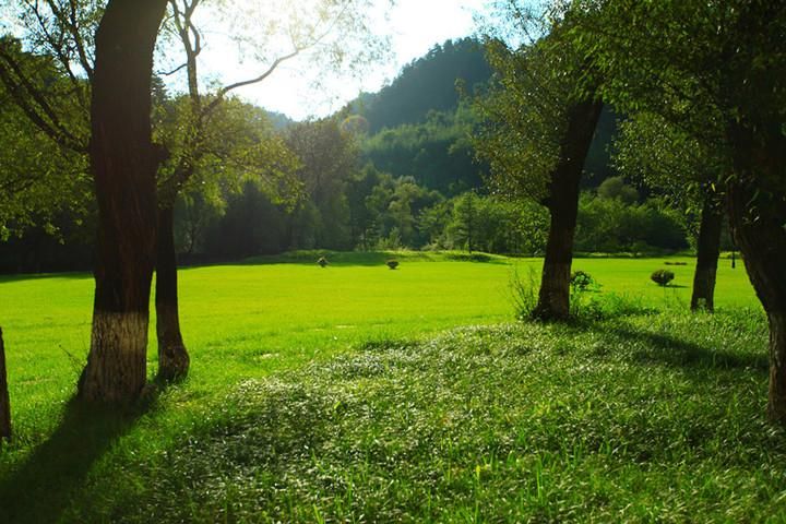 宁静草地下载地址大全 安全稳定不卡顿