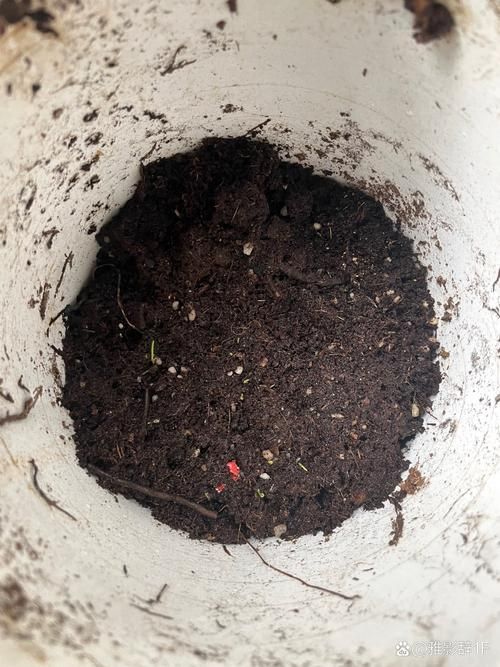 宁静草地安卓汉化版攻略 中文操作指南详解