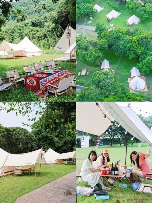宁静草地官网教你打造完美户外野餐体验