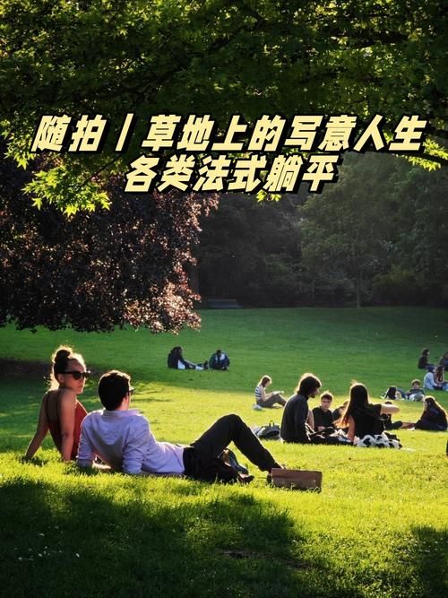 宁静草地更新地址最新链接一键直达