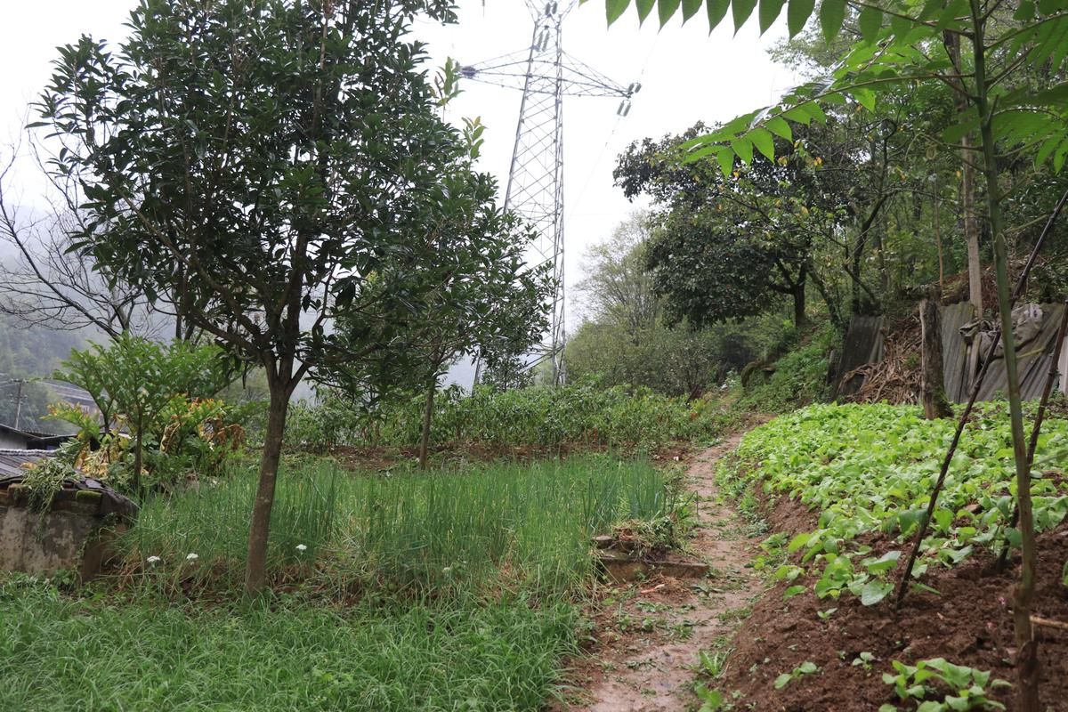 宁静草地更新地址最新链接一键直达