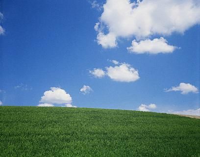 宁静草地更新地址最新链接一键直达