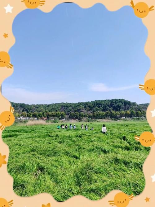 宁静草地最新消息带你了解这片绿色天堂