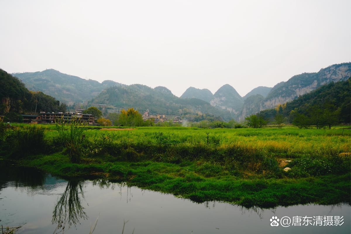 宁静草地最新消息带你了解这片绿色天堂