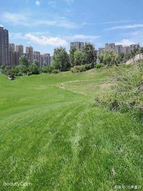 宁静草地最新版本是多少怎么升级到最新版