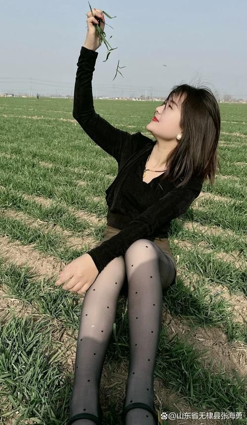 宁静草地汉化版最新更新内容一览 新增功能抢先看