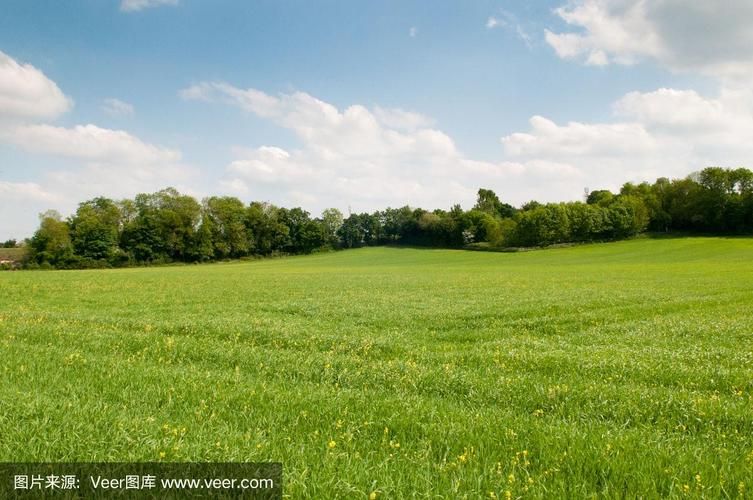 宁静草地汉化版最新更新内容一览 新增功能抢先看