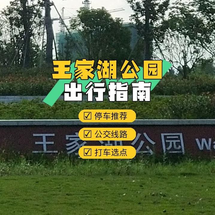 宁静草地游戏下载推荐 轻松享受自然休闲时光