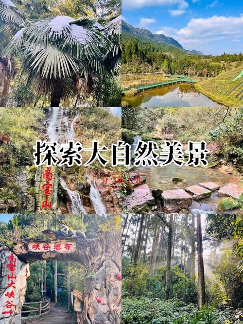 宁静草地游戏下载推荐 轻松享受自然休闲时光