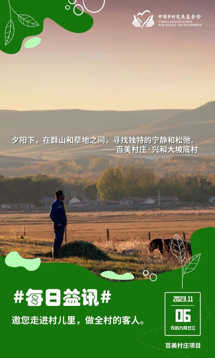 宁静草地游戏官网最新下载地址及玩法介绍