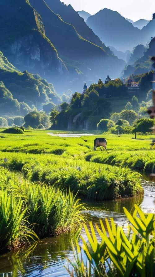宁静草地版本大全高清画质体验分享