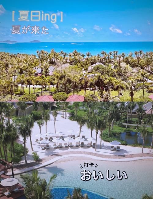 宁静草地绅士游戏规则详解 快速上手不迷路