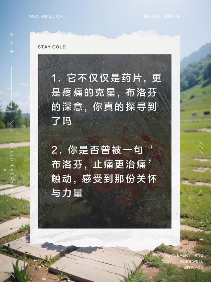 守护者最新剧情解析 带你了解背后的故事
