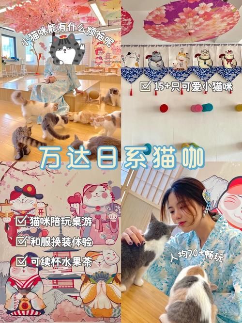 安卓与你共度的夏日下载 畅玩治愈系夏日故事