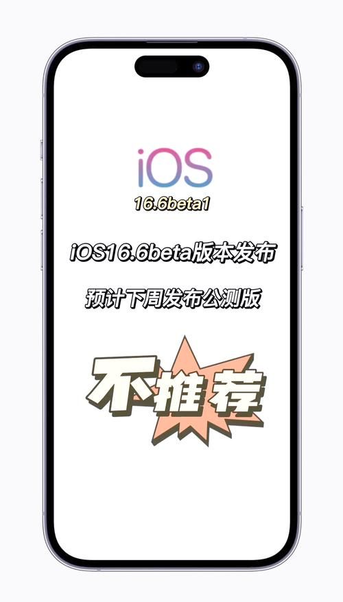 安卓回归本源下载 找回最初的简单与纯粹
